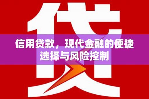 姚安信用贷款，现代金融的便捷选择与风险控制