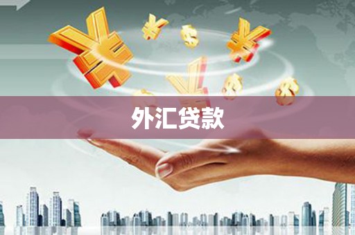 姚安外汇贷款
