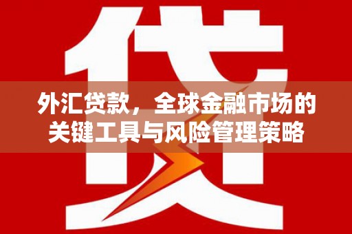 姚安外汇贷款，全球金融市场的关键工具与风险管理策略