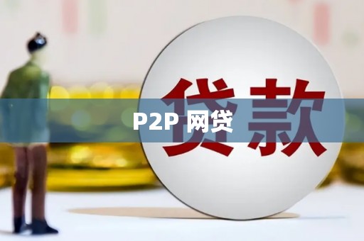 姚安P2P 网贷
