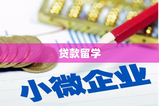 姚安贷款留学