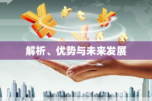 姚安解析、优势与未来发展