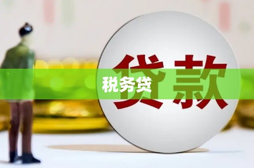 姚安税务贷