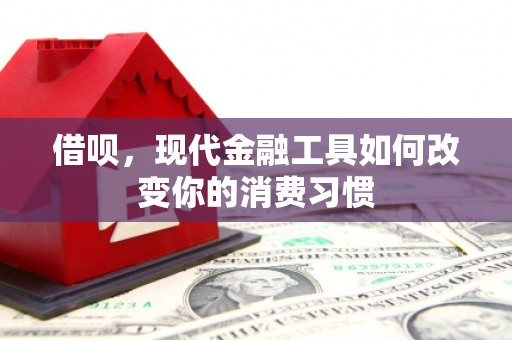姚安借呗，现代金融工具如何改变你的消费习惯