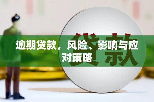 姚安逾期贷款，风险、影响与应对策略