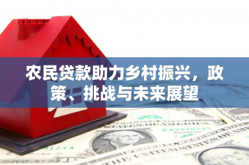 姚安农民贷款助力乡村振兴，政策、挑战与未来展望