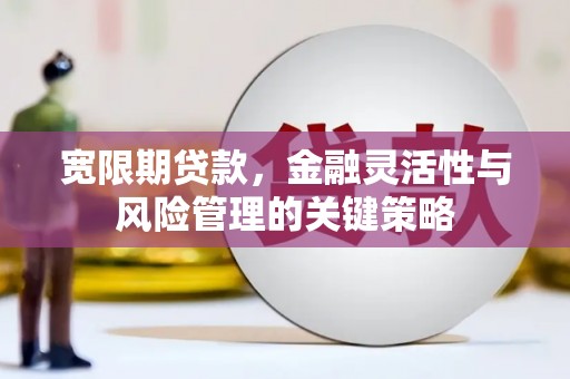 姚安宽限期贷款，金融灵活性与风险管理的关键策略