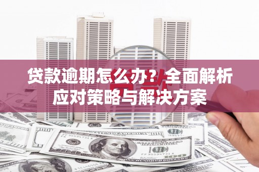 姚安贷款逾期怎么办？全面解析应对策略与解决方案