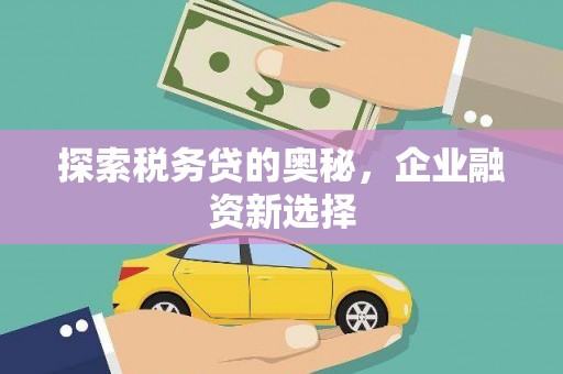 姚安探索税务贷的奥秘，企业融资新选择