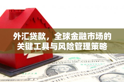 姚安外汇贷款，全球金融市场的关键工具与风险管理策略