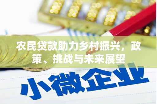 姚安农民贷款助力乡村振兴，政策、挑战与未来展望