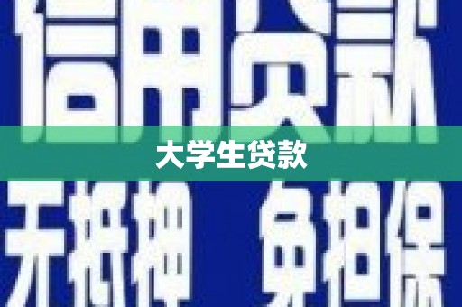 姚安大学生贷款