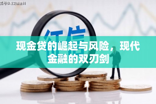 姚安现金贷的崛起与风险，现代金融的双刃剑