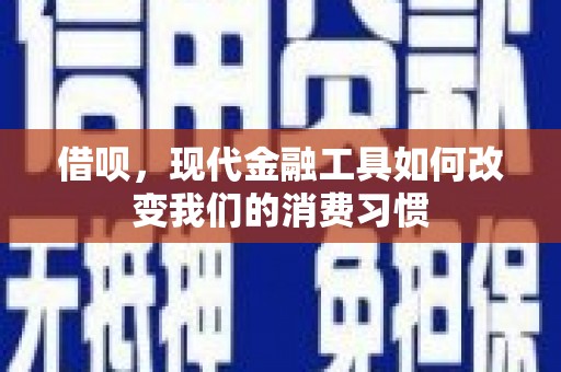 姚安借呗，现代金融工具如何改变我们的消费习惯