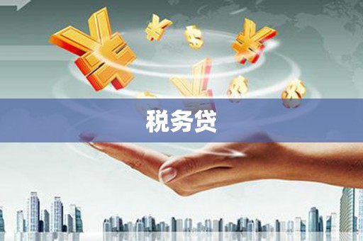 姚安税务贷