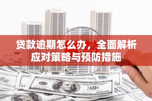 姚安贷款逾期怎么办，全面解析应对策略与预防措施