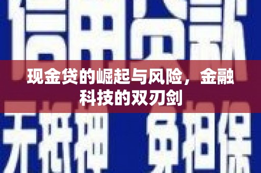 姚安现金贷的崛起与风险，金融科技的双刃剑