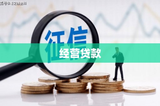 姚安经营贷款