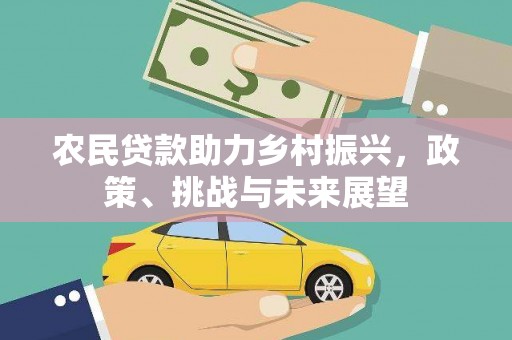 姚安农民贷款助力乡村振兴，政策、挑战与未来展望