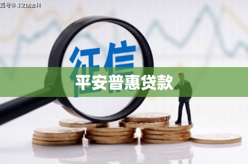 姚安平安普惠贷款