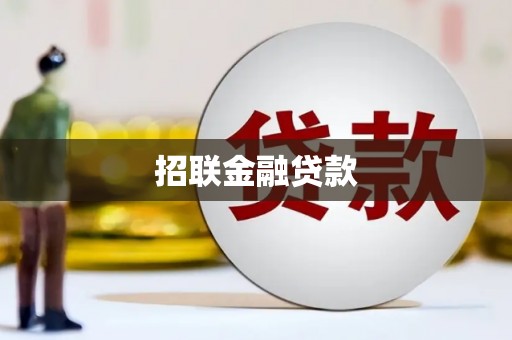 姚安招联金融贷款