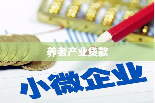 姚安养老产业贷款