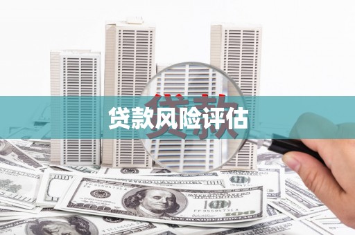 姚安贷款风险评估