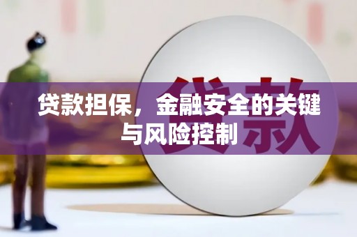 姚安贷款担保，金融安全的关键与风险控制