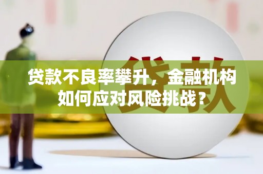 姚安贷款不良率攀升，金融机构如何应对风险挑战？