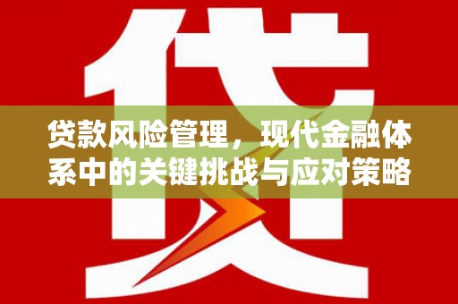 姚安贷款风险管理，现代金融体系中的关键挑战与应对策略