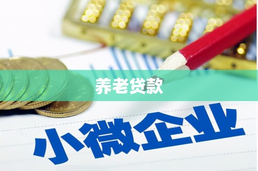 姚安养老贷款
