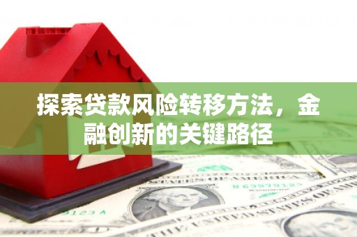 姚安探索贷款风险转移方法，金融创新的关键路径
