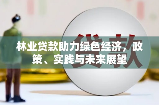姚安林业贷款助力绿色经济，政策、实践与未来展望
