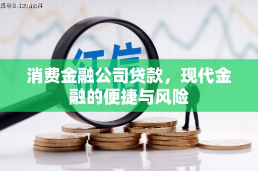 姚安消费金融公司贷款，现代金融的便捷与风险