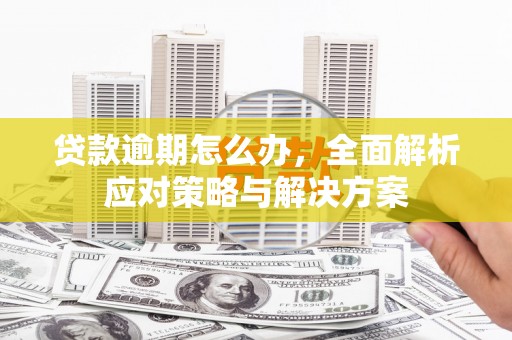 姚安贷款逾期怎么办，全面解析应对策略与解决方案