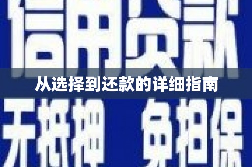 姚安从选择到还款的详细指南
