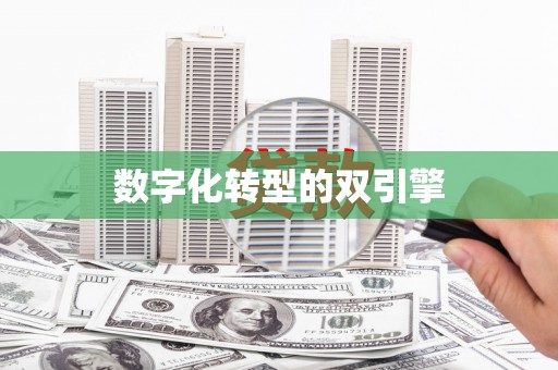 姚安数字化转型的双引擎