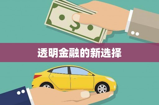 姚安透明金融的新选择