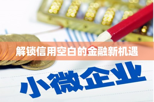 姚安解锁信用空白的金融新机遇