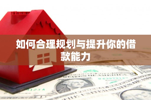 姚安如何合理规划与提升你的借款能力