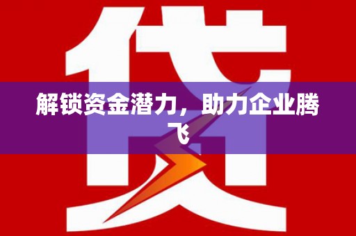 姚安解锁资金潜力，助力企业腾飞