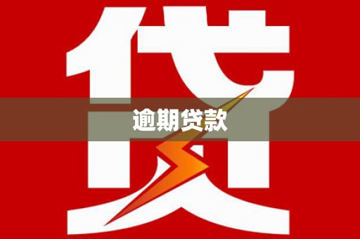 姚安逾期贷款