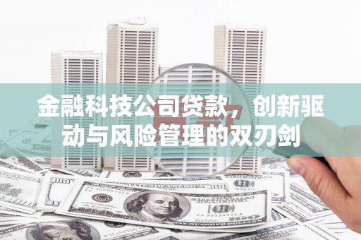 姚安金融科技公司贷款，创新驱动与风险管理的双刃剑